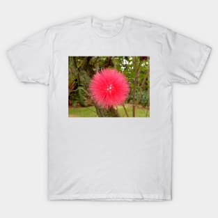 Tropical Red Puff T-Shirt